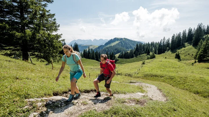 Zwei Wanderer auf einem Bergpfad in den Chiemgauer Alpen | © DAV/Hans Herbig